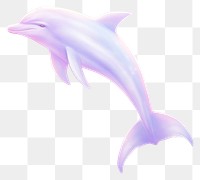 PNG  Dolphin backgrounds animal underwater.
