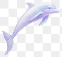 PNG  Dolphin animal mammal fish.