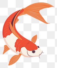 PNG Koi fish animal white background goldfish.