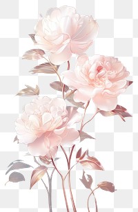 PNG Peony holography blossom pattern flower