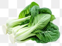 PNG  Vegetable plant food white background.