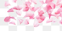 PNG Pink flower petals flying in the air backgrounds plant white background.