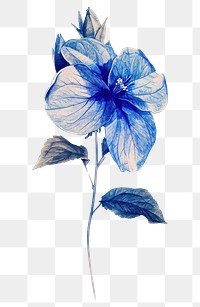 PNG  Blue flower drawing sketch petal.