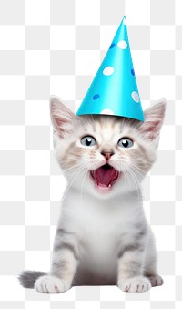 PNG Cat wearing party hat celebration portrait mammal.