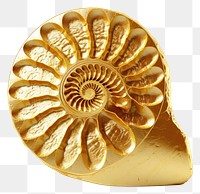 PNG Fossil gold jewelry 