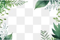 PNG Foliage nature plant pattern. AI generated Image by rawpixel.