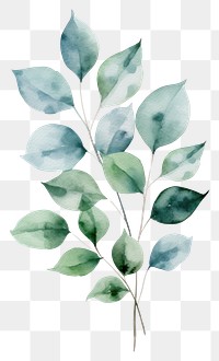 PNG Leaf foliage drawing plant. AI generated Image by rawpixel.