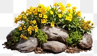 PNG Garden design flower plant rock. AI generated Image by rawpixel.