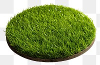 PNG Flat round surface grass plant green. AI generated Image by rawpixel.