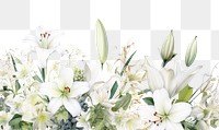 PNG White flowers mix blossom plant lily.