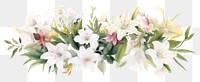 PNG White flowers mix blossom plant white background.