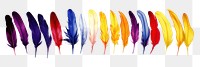 PNG Feathers petal white background lightweight.