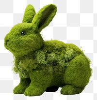 PNG  Mammal animal plush plant. AI generated Image by rawpixel.