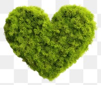 PNG  Heart plant leaf moss. AI generated Image by rawpixel.