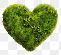 PNG  Heart moss plant white background. AI generated Image by rawpixel.