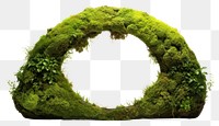 PNG  Semi circle moss plant green