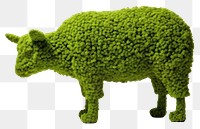 PNG  Sheep mammal green white background. AI generated Image by rawpixel.