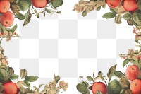 PNG  Apples backgrounds painting fruit. AI generated Image by rawpixel.