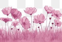 PNG  Cosmos flower field blossom drawing sketch.