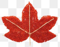 PNG Maple leaf bead necklace jewelry. 