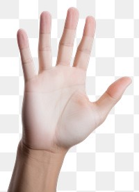 PNG Hand finger palm white background. AI generated Image by rawpixel.