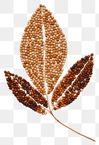 PNG Leaf seed plant food. AI generated Image by rawpixel.