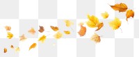 PNG Autumn leaves backgrounds falling plant. AI generated Image by rawpixel.