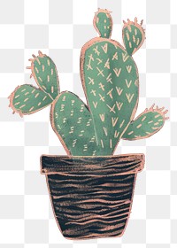 PNG  Chalk style cactus plant creativity flowerpot.