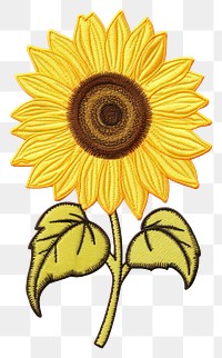 PNG Sunflower yellow plant white background. AI generated Image by rawpixel.