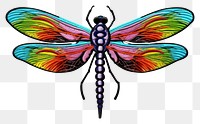 PNG Dragonfly insect animal white background. AI generated Image by rawpixel.
