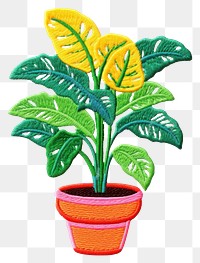 PNG Potted plant leaf white background creativity. AI generated Image by rawpixel.