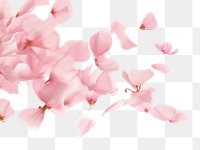 PNG *flower petals* falling, blur, isolated white background --ar 3:2