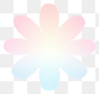 PNG  Flower blossom icon white background inflorescence illuminated. AI generated Image by rawpixel.