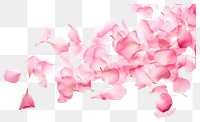 PNG  Pink petals falling backgrounds flower plant. AI generated Image by rawpixel.