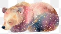 PNG Bear mammal white background relaxation.