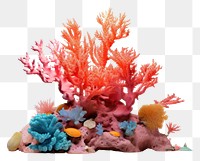 PNG Coral reef aquarium nature sea.