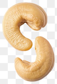 PNG Photo of cashew nut food white background boerewors.