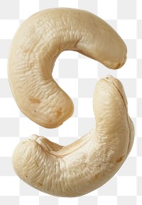 PNG Photo of cashew nut food white background simplicity.