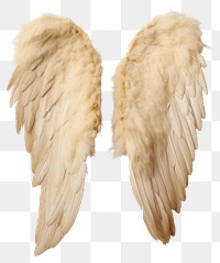 PNG Angel lightweight archangel softness.
