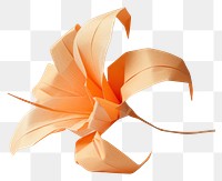 PNG Origami lily paper plant art.