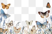 PNG Butterflies border butterfly animal insect