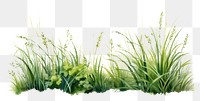 PNG Grass outdoors nature plant.