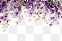 PNG Purple flower blossom nature plant