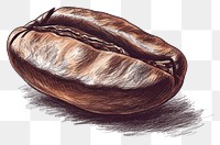 PNG Antique of coffee bean sketch brown food.