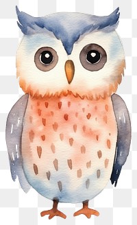 PNG Owl animal bird white background.