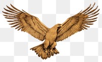 PNG Illustration of eagle vulture animal flying.