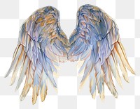 PNG Angel wings feather creativity archangel.