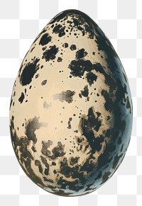 PNG A crow egg space astronomy universe.