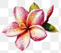 PNG Plumeria cut pixel flower petal plant.