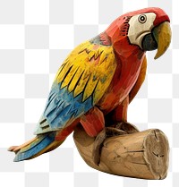 PNG Parrot animal bird 